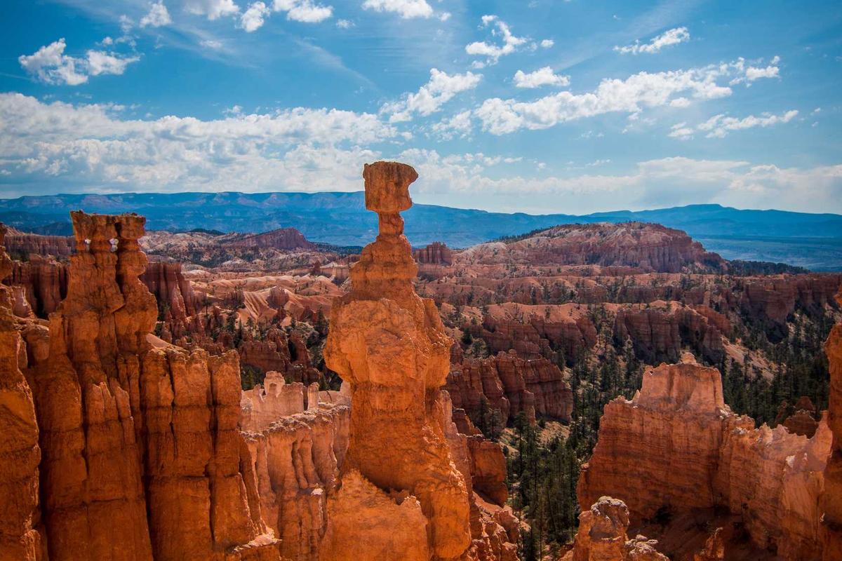 The Landscape Edit: Signature Color and Depth